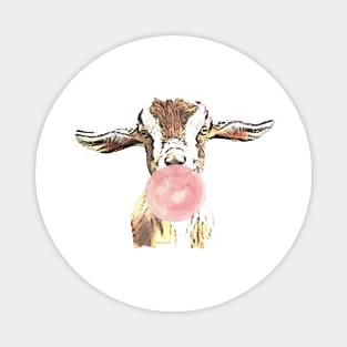 Funny Airplane Ears Goat With Pink Bubblegum Magnet